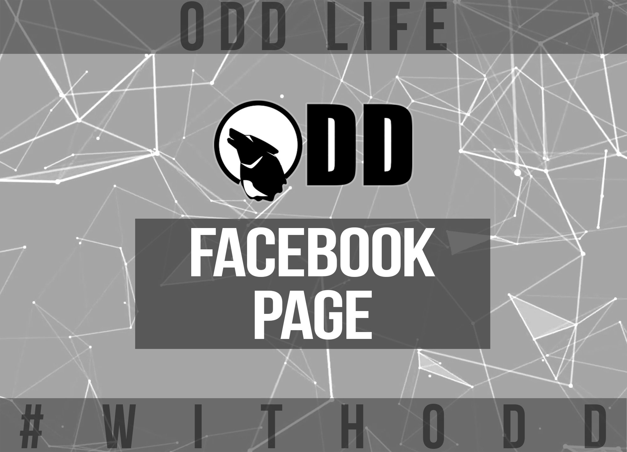 Team ODD: Preguntas y Respuestas